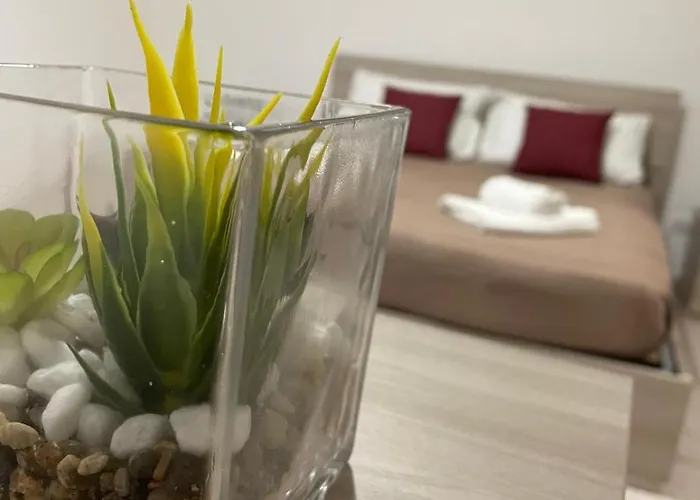 Rhome Apartment